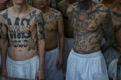 Mara-Salvatrucha-12