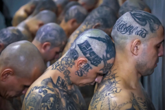 Mara-Salvatrucha-6